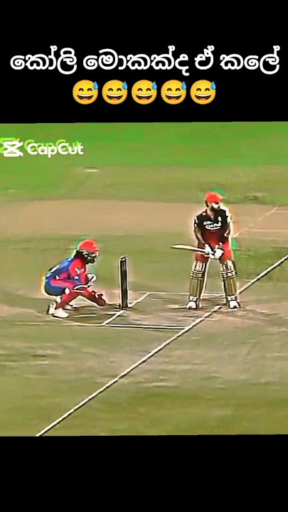 කේල්ට මල පැනලා 🤣🤣 #cricketshorts #teamindia #ipl2025 #indvspak #cricketfever