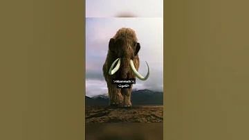 أصوات الحيوانات المنقرضه 