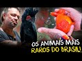 ENCONTREI O PARAÍSO DOS ANIMAIS EXÓTICOS: TOUR COMPLETO PELA GALPÃO ANIMAL!