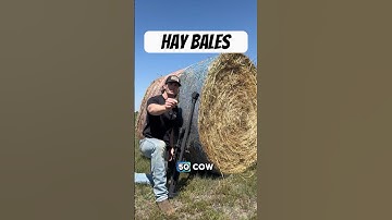 How Many Hay Bales Does it Take to Stop a 50 Cal Sniper Rifle?