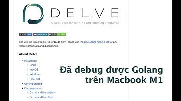 Hướng dẫn cập nhật công cụ debug Golang (Delve 1.6) trên Macbook M1 - Đã debug được, hỗ trợ native