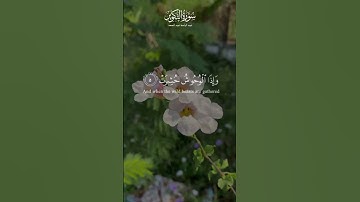 إذا الشمس كورت.. | سورة التكوير surah al takwir | عبد الباسط Abdul Basit