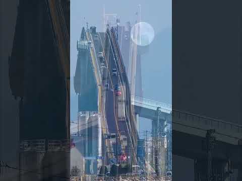 Video: Usædvanlige broer i verden