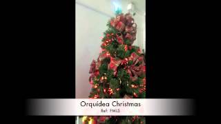 Athlete Statistics ÁRBOL NAVIDEÑO CON FIBRA ÓPTICA Y ESTRELLAS LED