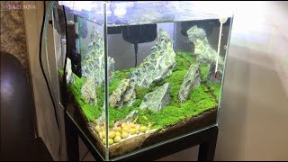 How to build a fish tank Iwagumi style - easy - fast - beauty