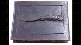 Instrument Begu Delleng