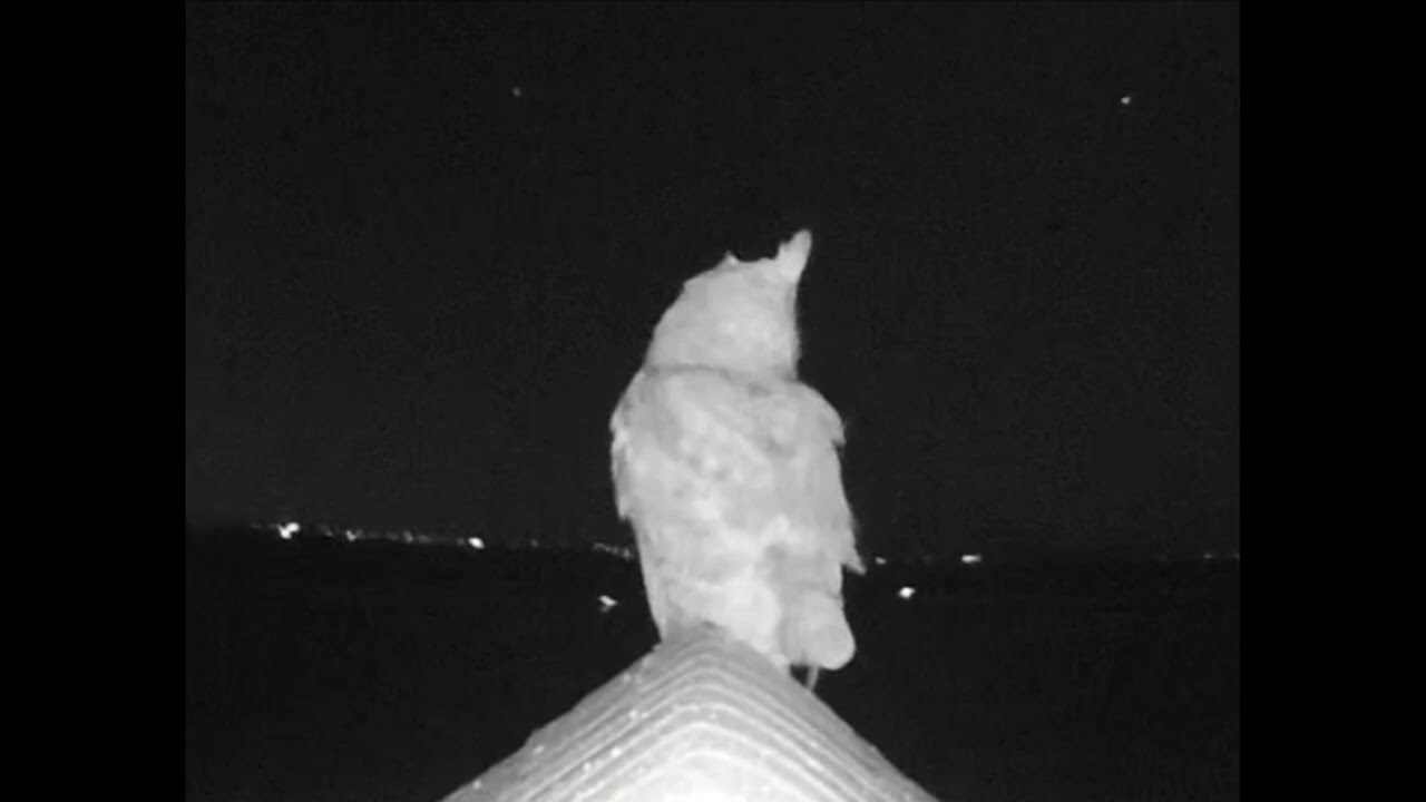 Tomky Wildlife Reserve 