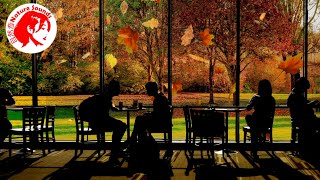 YouTube Music: Real 3D Sounds Of A Coffee Shop Will Help You Study And Concentrate 3 Hour YouTube Music: Real 3D Sounds Of A Coffee Shop Will Help You Study And Concentrate 3 Hour