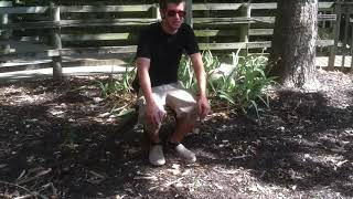 WoFFilms Raw Footage - 2012-107