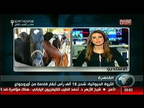 اتفاق مصر وإثيوبيا والسودان على مبادئ تقسيم مياه النيل فى نشرة الثامنة على القاهرة والناس