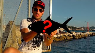 A BEAUTIFUL PREDATORY FISH MEDITERRANEAN SEA! Ultralight Spinning with Micro jig - Personal Best C&R screenshot 2