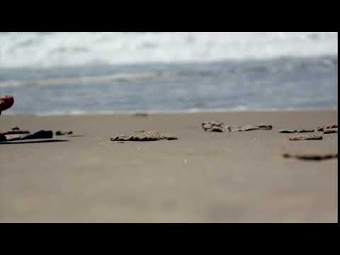 Beach Footprints Walking Sand Water Sea Summer No Copyright Video