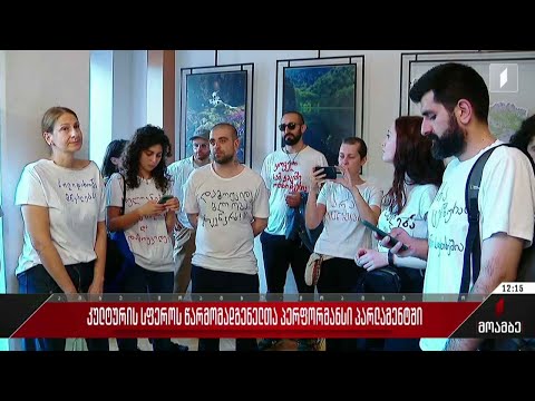 კულტურის სფეროს წარმომადგენელთა პერფორმანსი