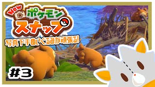 【Ｎｅｗポケモンスナップ】写真下手くそぬいぐるみが行くポケモンスナップ！＃3
