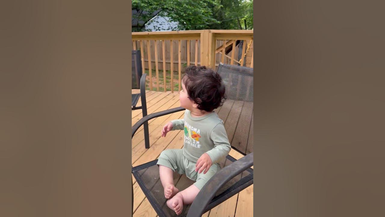 On high alert, the dogs are watching over the prince - YouTube
