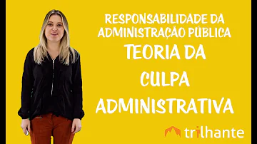 O que se entende por teoria da culpa?