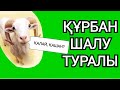 Құрбан шалу | Құрбандықты қалай шалады | Курбан шалу | Курбан айт 2021 | Құрбан айт 2021