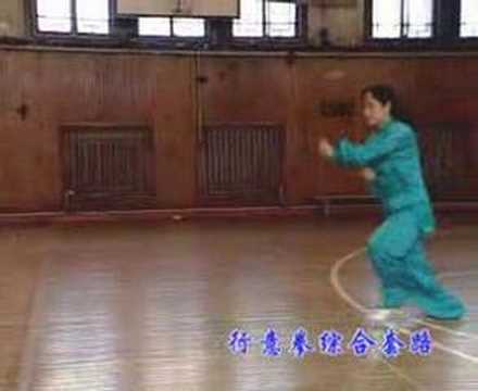 Xingyiquan [Taolu]
