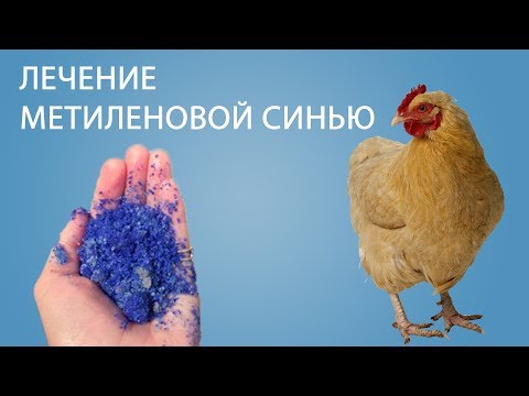 Куры упали... ЛЕЧЕНИЕ КУР (Часть 13) | как мы вылечили кур с помощью метиленовый синий