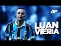 Luan Guilherme 2019/20 • Skills &amp; Goals • HD