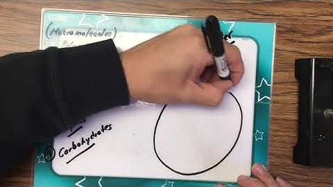 Polymers - The Building Blocks of Living Matter