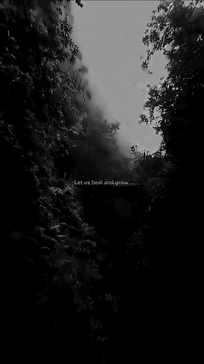 The fat rat - rise up | lyrics | rise up slowed and reverb | #thefatrat #lyrics #music #song