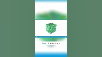 Image Segmentation  From Raw Image to Quantitative Analysis