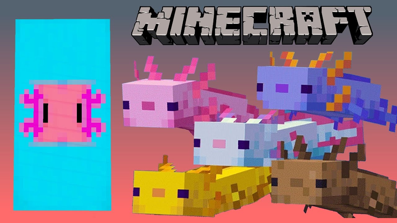 Axolotl banner minecraft tutorial