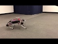 Sim-to-Real: Learning Agile Locomotion For Quadruped Robots