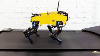 Robot dog on the treadmill by Mech-Dickel Robotics 2,851 views 3 years ago 1 minute, 21 seconds