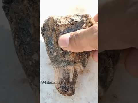 شاهد اكتشاف غريب                