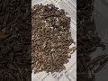 #agarwood #original #muri #mal #bangladesh #qatar #dubai #india #iran #kuwait #usa #china #russia