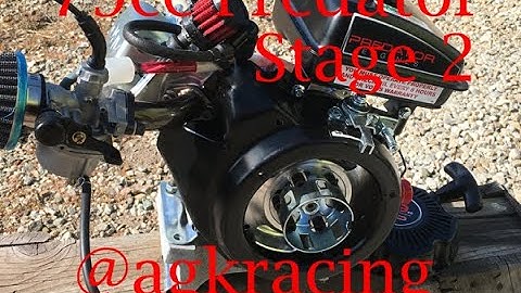 7hp Stage 2 79cc Predator, Start up, Rev, Walkaround