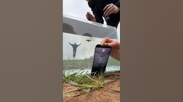 Creative Photography Using PicsArt #picsart #editing #edit #tutorial #creative #photography #shorts