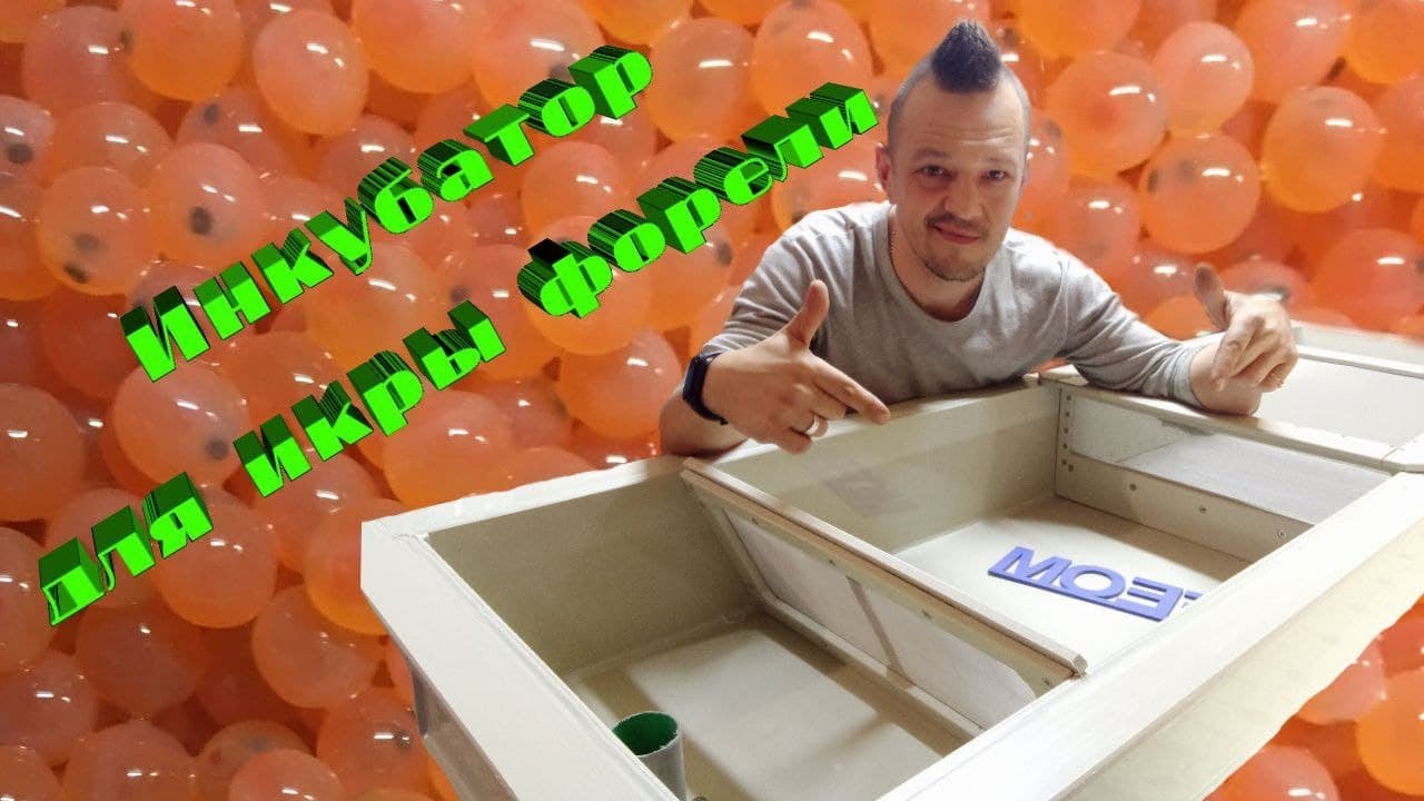 Инкубатор для икры форели/Trout egg incubator