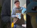 予想外すぎる依頼頂きました!#社長#diy #anime #pokemon