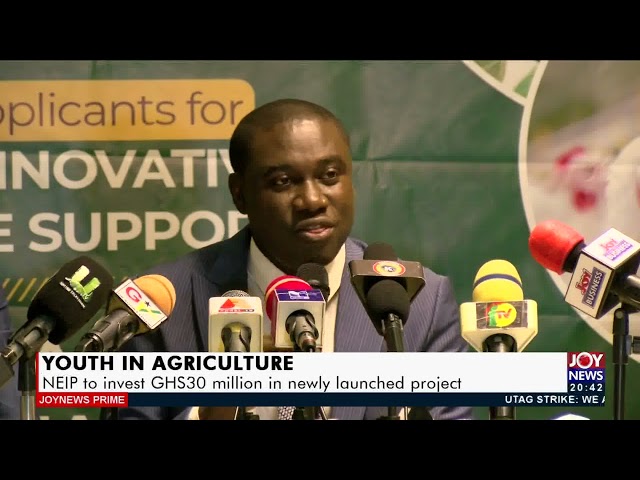 Youth in Agriculture: NEIP to invest GHS30 million in newly launched project (11-1-22) class=