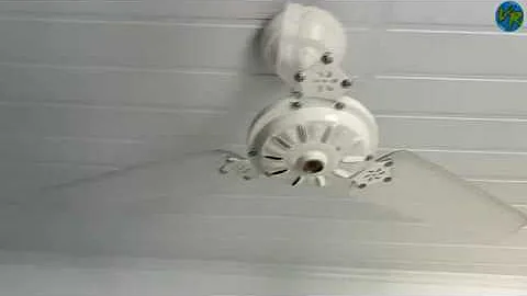 Precisa lubrificar ventilador de teto?