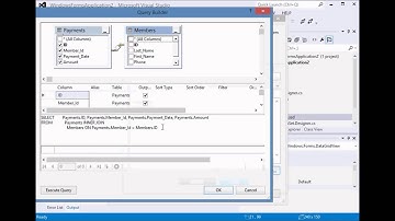 Visual Studio Master Detail Database Program