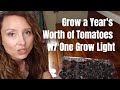 Grow Strong Seedlings Indoors - Grow Lights, Transplanting & Hardening Off