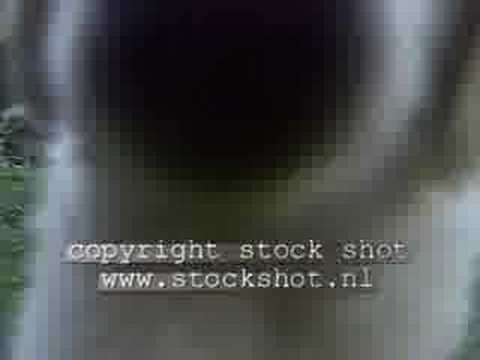 Think Video