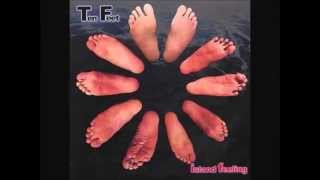 Ten Feet - Little Wing screenshot 4