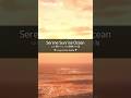 Gentle Ocean Waves｜A Sea Tinted by the Pale Glow of Dawn #Shorts #ASMR #Cleansing #Healing