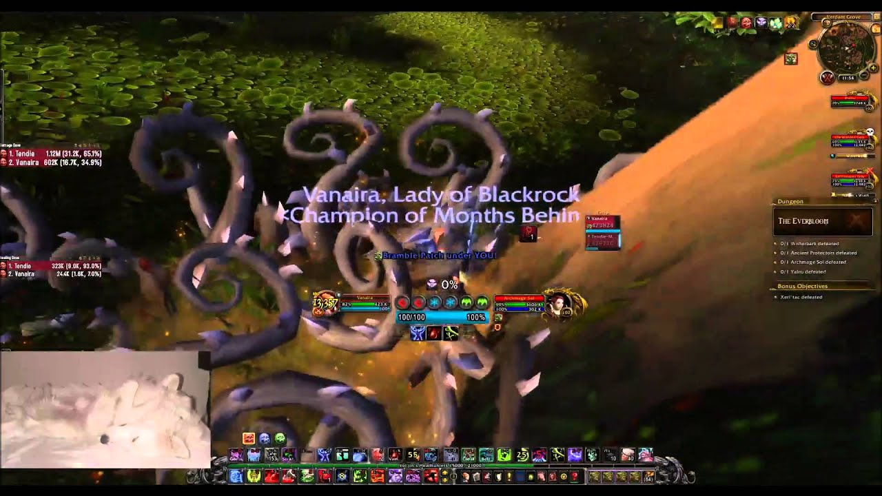 Killing Archmage Sol with Bramble Patch