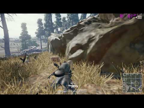 (PUBG) "network lag detected"