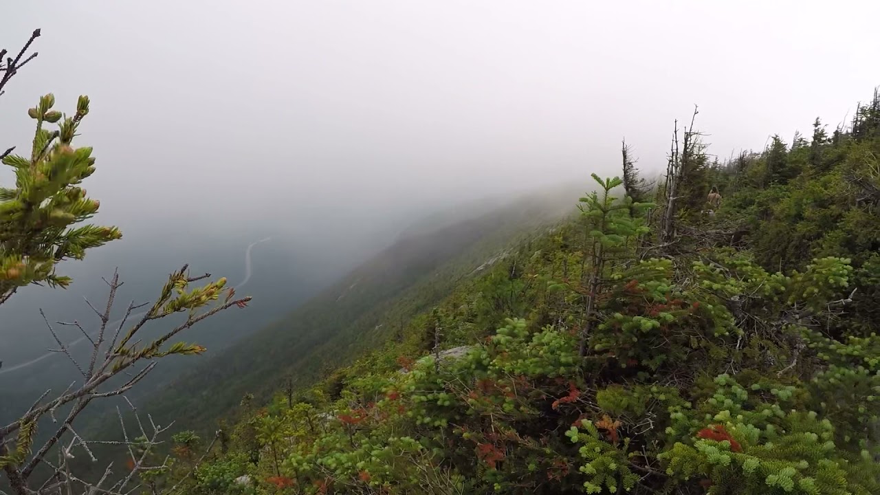 Upslope fog on Cannon Mtn., Franconia Notch, NH