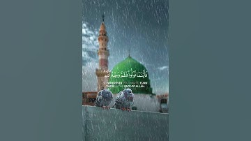 سورة البقرة {الآية 115} بصوت الشيخ سعد الغامدي ❤️💖