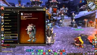 My WoW Mounts