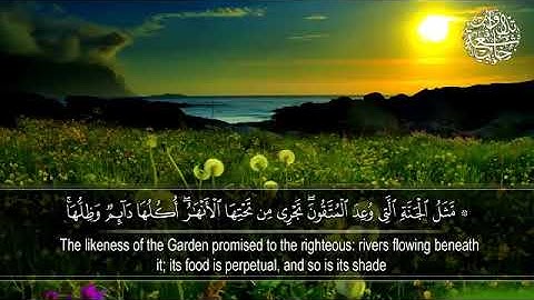 سورة الرعد ٣٥-٤٣ / القارئ: حمد الدغريري 🌿