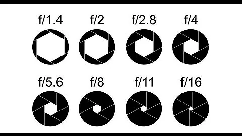Beginner DSLR Photography basics: Aperture and depth of field guide